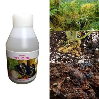 ROM 3 liter Pelicide Bio Pesticide | Used to Control Plant Parasitic Nematodes in Soil